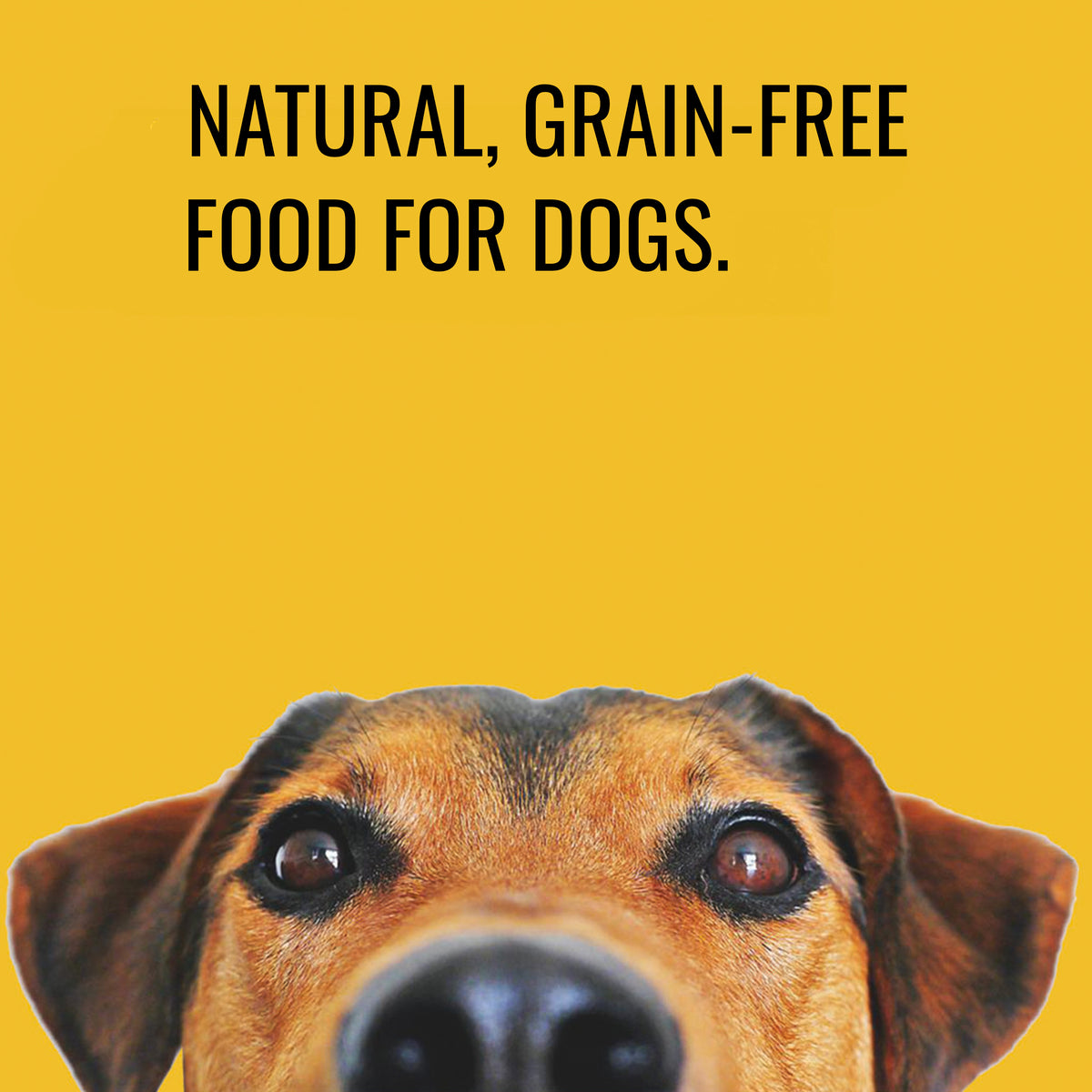 http://www.bettyandbutch.co.uk/cdn/shop/collections/Natural-Grain-Free-Healthy-Dog-Food-from-Betty-and-Butch-UK_46db99a5-c853-4744-8d1e-25fa33022b14_1200x1200.jpg?v=1653476643