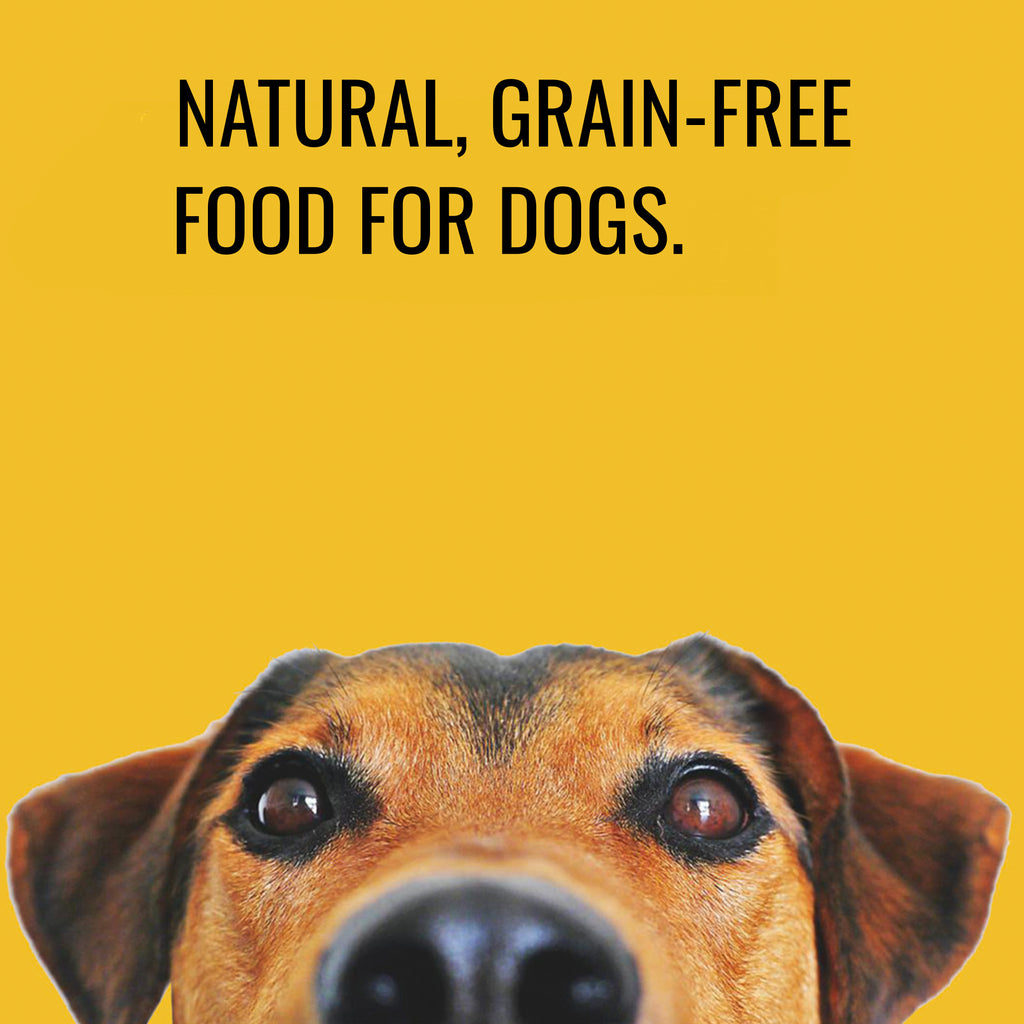 Betty and Butch's responsibly sourced adult dog food is highly digestible and grain-free with added proteins, vitamins and minerals.