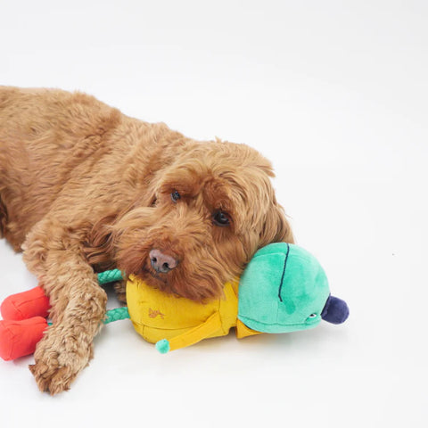 Joules Frog Dog Toy