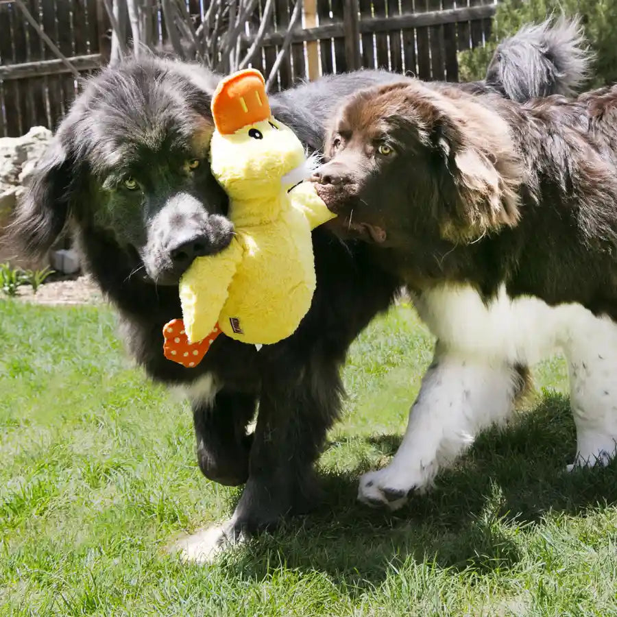 KONG® Comfort™ Jumbo Duck - Extra Soft & Extra Large! - Yellow - BETTY & BUTCH®