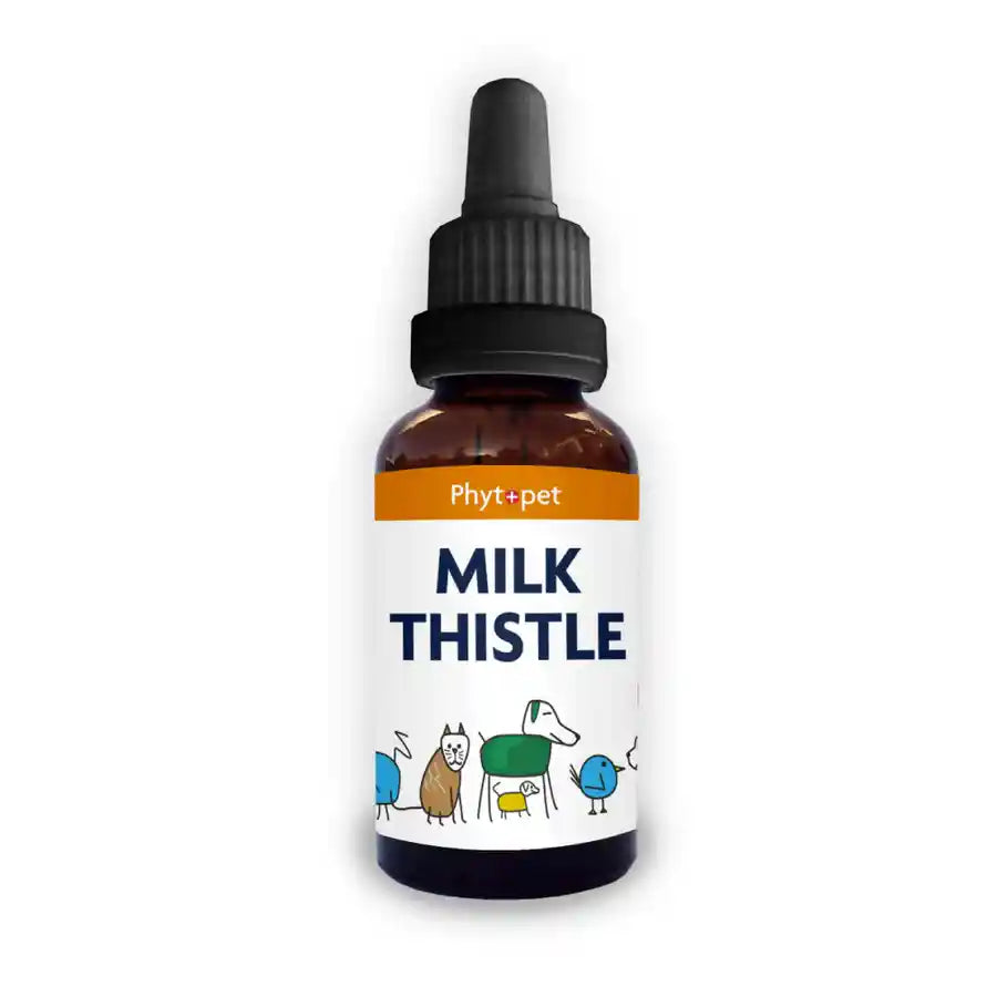 Phytopet Milk Thistle Herbal Supplement for Dogs - Liver & Gall Bladder Support - BETTY & BUTCH®