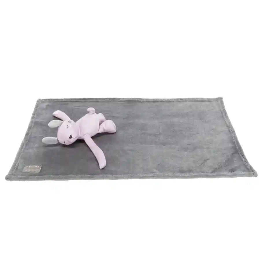 Welcome Home Puppy's First Plush Bunny and Dog Blanket - BETTY & BUTCH®