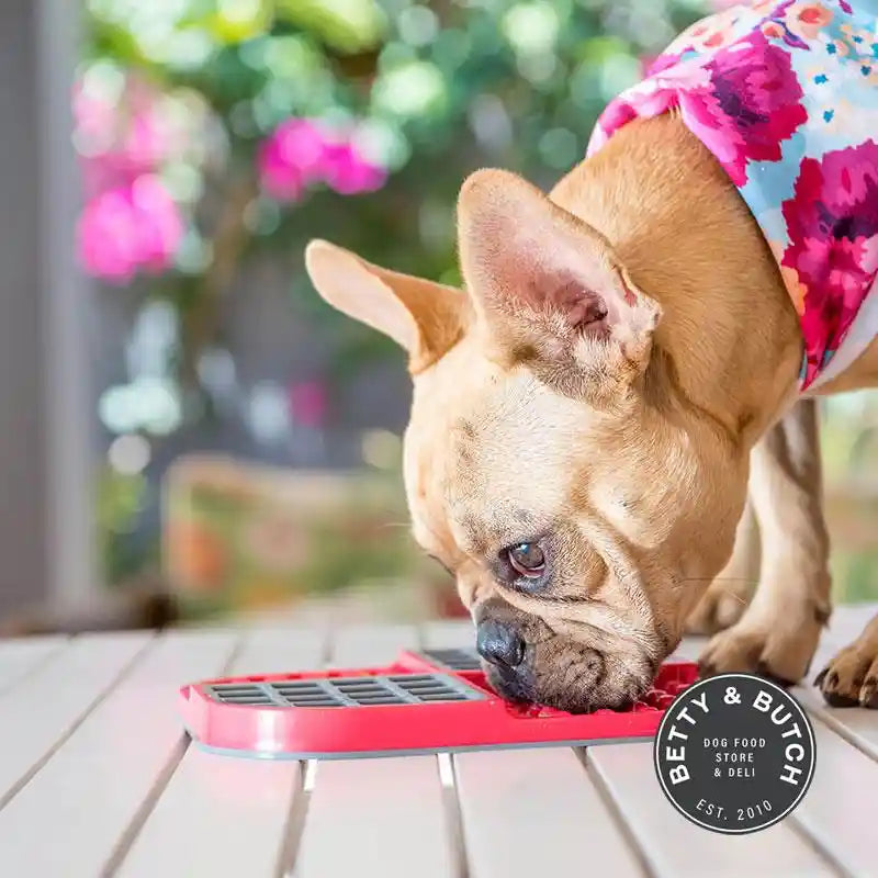LickiMat Slomo Boredom Busting Dog Mat for Slowing Down Feeding - BETTY & BUTCH®