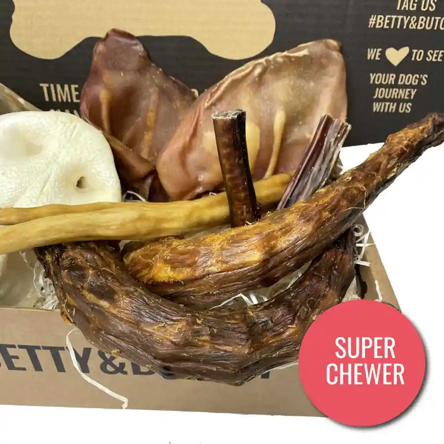 Super Chomper Box Treats for Large Breed Dogs - Natural Meat Dog Food - BETTY & BUTCH®