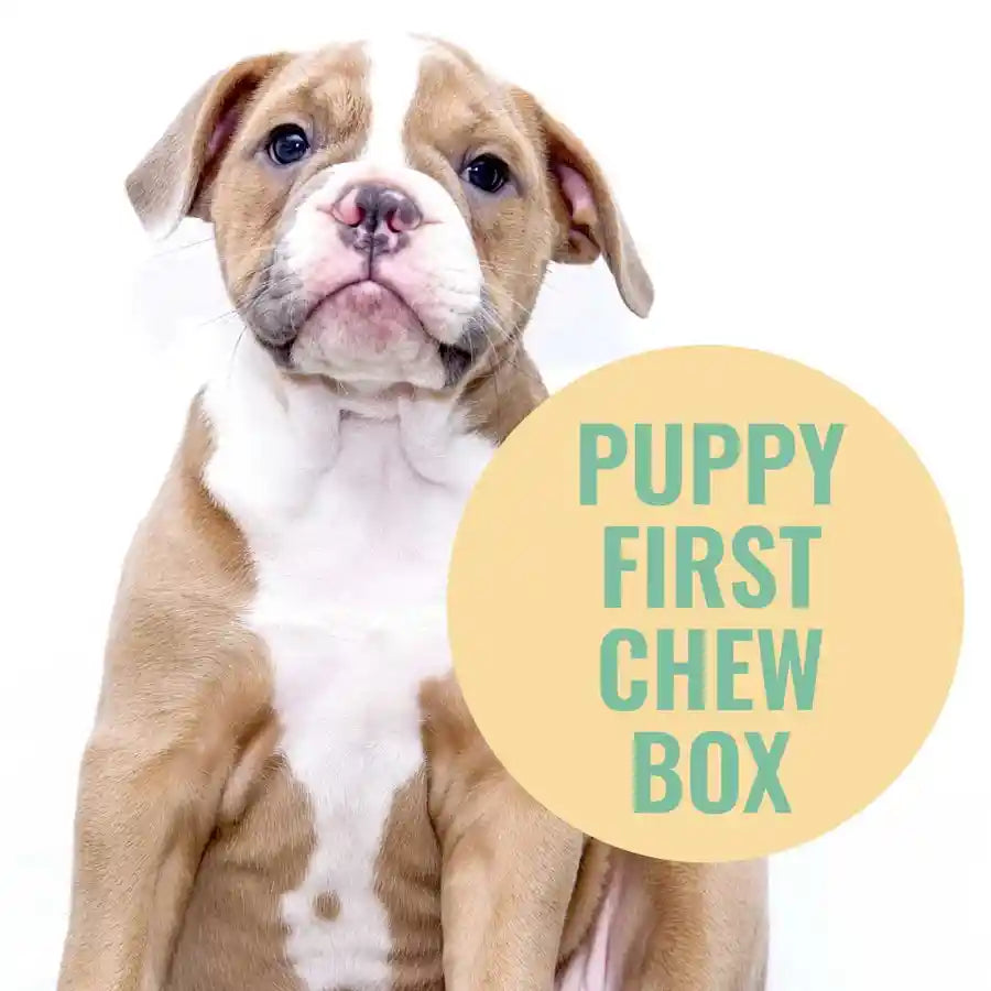 Puppy's First Chew Box Treats - Essential Natural Meat for Puppies - BETTY & BUTCH®