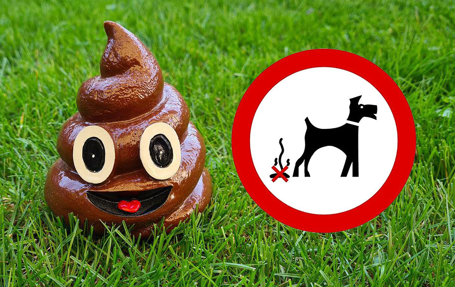 Channel 5 Britain’s Dog Poo Scandal Sniffs a Puppy Poodemic