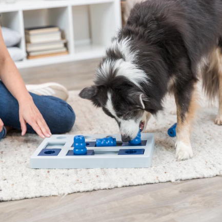 Best Interactive Dog Toys BETTY BUTCH