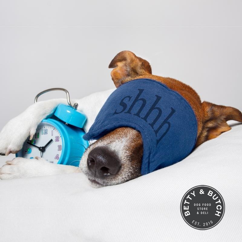 Clocks changing and what that means for your dog. | BETTY & BUTCH®