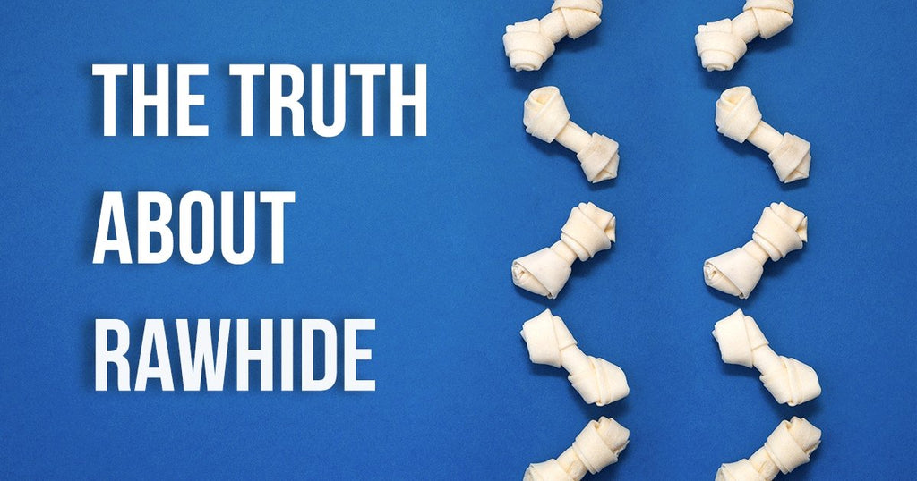 The Truth About Rawhide Dog Treats | BETTY & BUTCH®