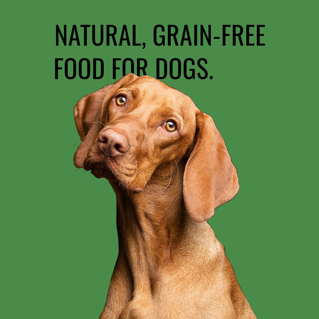 Senior Dog Food 🐶 Natural, Low-fat and Healthy Food for Older Dogs