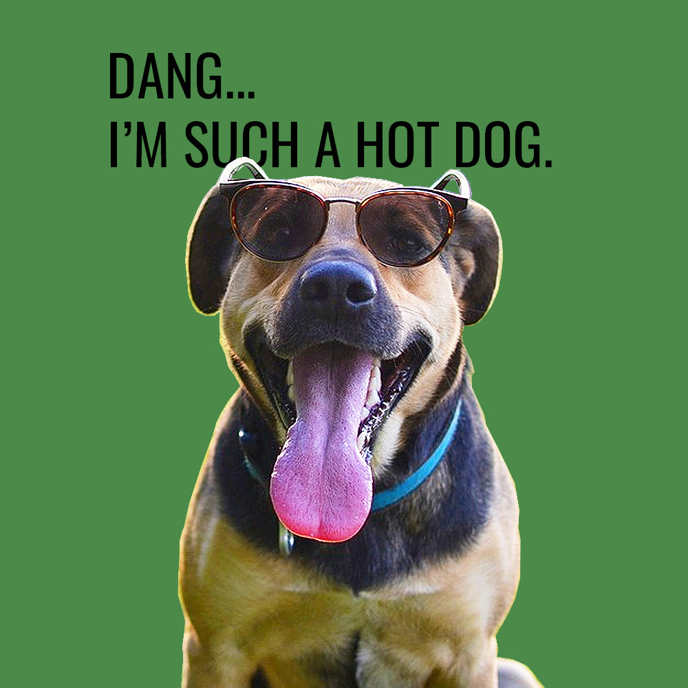 Dang... I'm such a hot dog. Dog Cooling Products and Summer Essentials for Dogs from Betty and Butch UK.