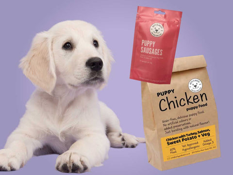 natural puppy food, treats, toys and accessories.