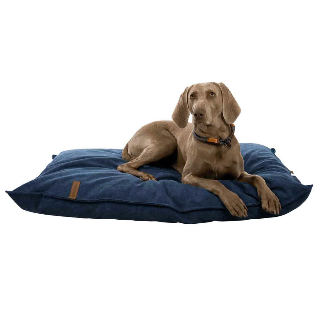 Dog and Puppy Beds 🐶 Give your furry friend a comfy place to snooze