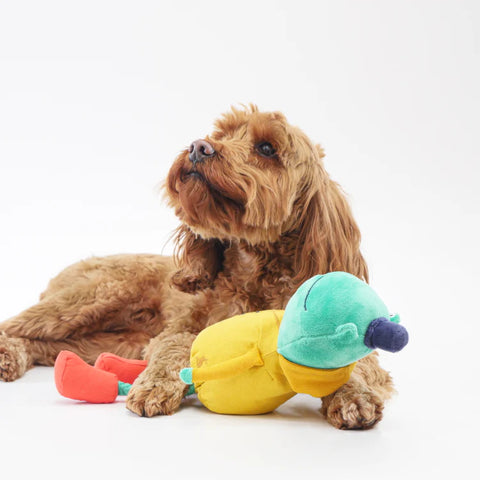 Joules Frog Dog Toy