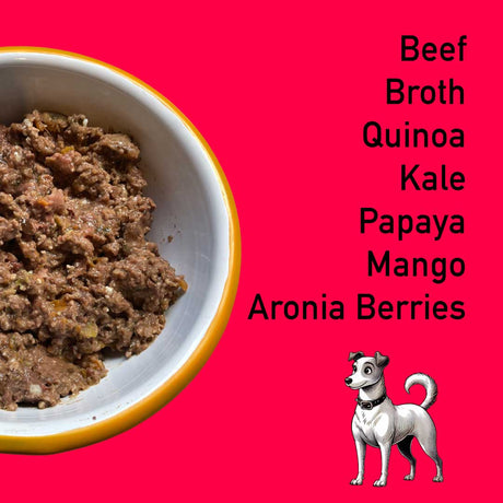 Dog food bowl with ingredients listed on a red background
