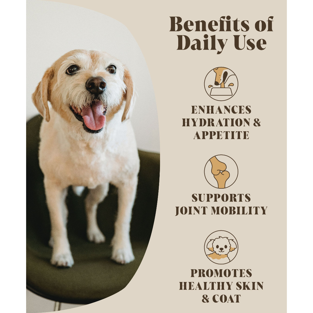 Chicken bone broth powder served as a savory gravy poured over a meal, perfect for picky eaters or elderly dogs needing extra hydration.