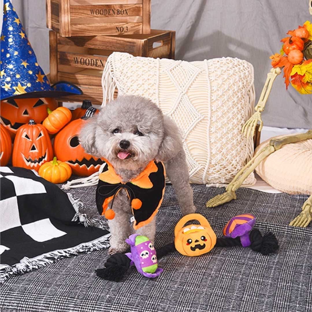 Howloween Candy Rope Dog Toy 🎃
