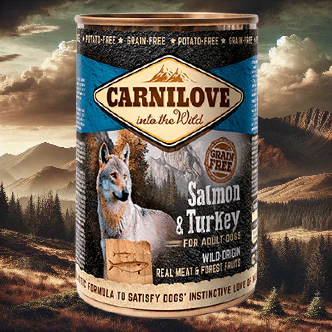 CARNILOVE Salmon & Turkey Wet Dog Food 400g