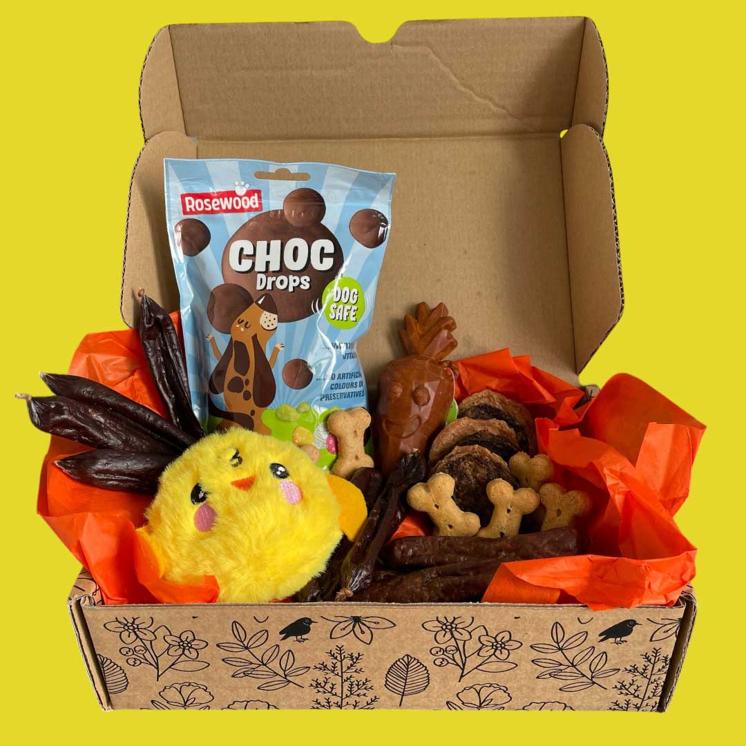 Easter Hamper Gift Box for Dogs – Limited Edition Spring Surprise