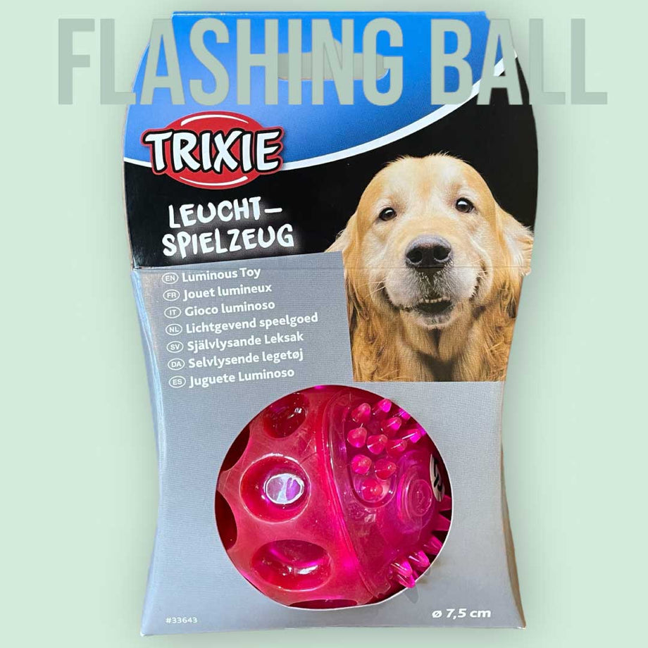 Flashing dog deals