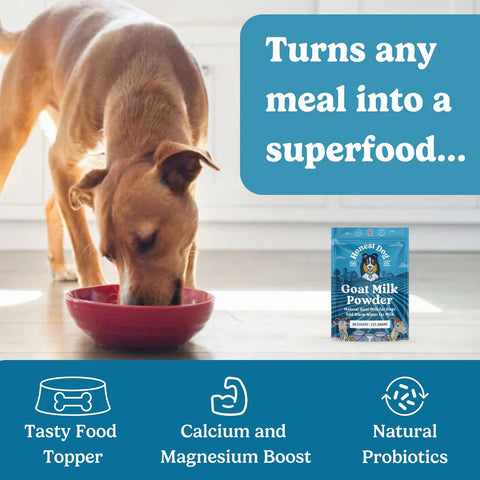 Goats Milk Powder for Dogs | Makes Six Pints