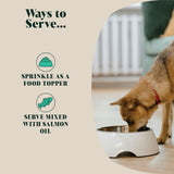 A happy dog eating green lipped mussel, demonstrating the joint health benefits of green lipped mussel powder.