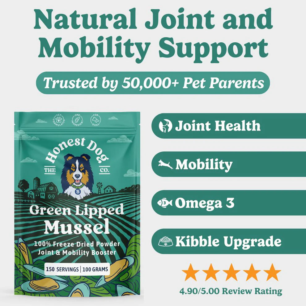 Green Lipped Mussel Powder for Dogs | 80 Servings