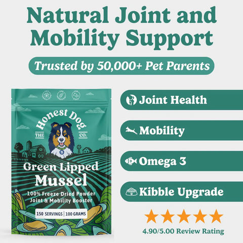 Green Lipped Mussel Powder for Dogs | 80 Servings