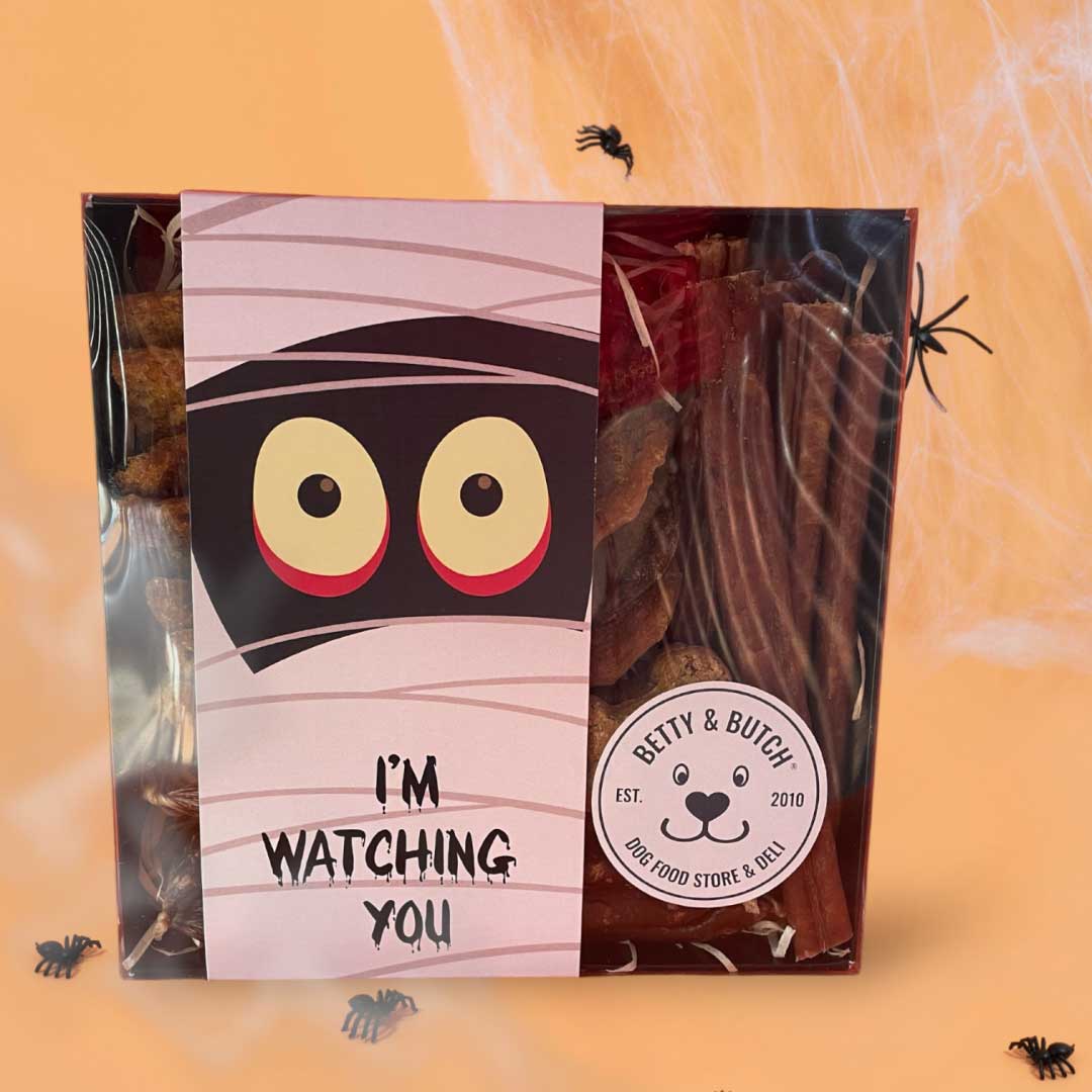 Howl-O-Ween Trick Or Treat Box For Dogs