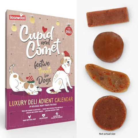 Cupid & Comet Deluxe Advent Calendar