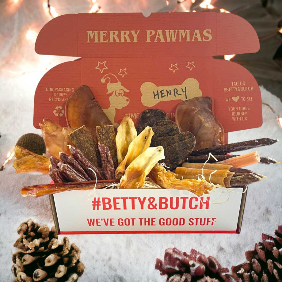 Rudolph s Personalised Treat Box For Dogs