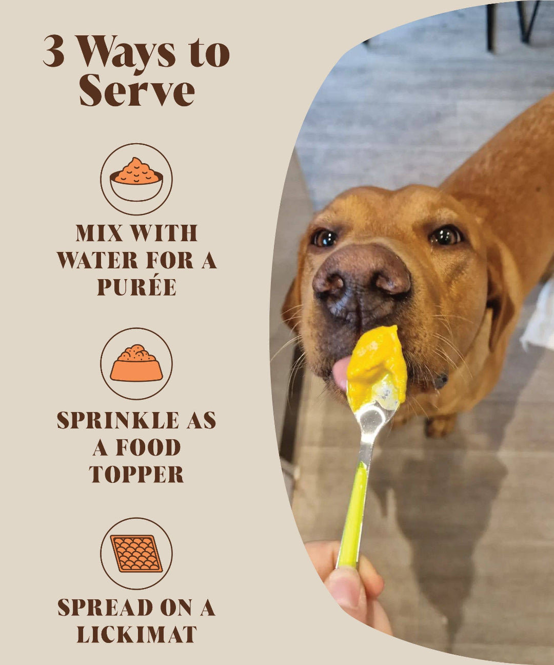 Close-up of a dog enjoying a meal topped with pumpkin powder, promoting relief from diarrhea and scooting.