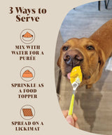 Close-up of a dog enjoying a meal topped with pumpkin powder, promoting relief from diarrhea and scooting.