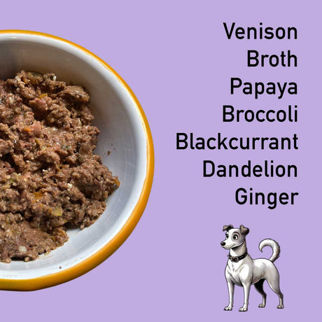 Bowl of dog food with ingredients listed on a purple background