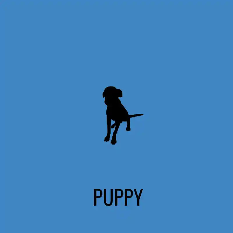 Build-A-Box: Build Your Own Dog Treat Box for Puppies - BETTY & BUTCH®