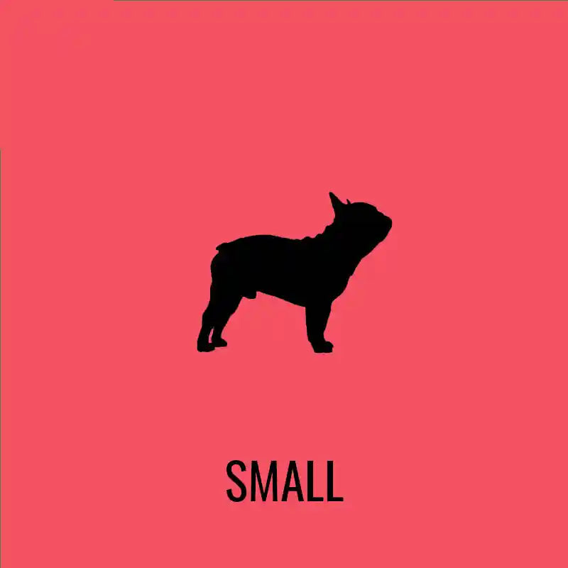 Build-A-Box: Build Your Own Dog Treat Box for Small Breed Dogs - BETTY & BUTCH®