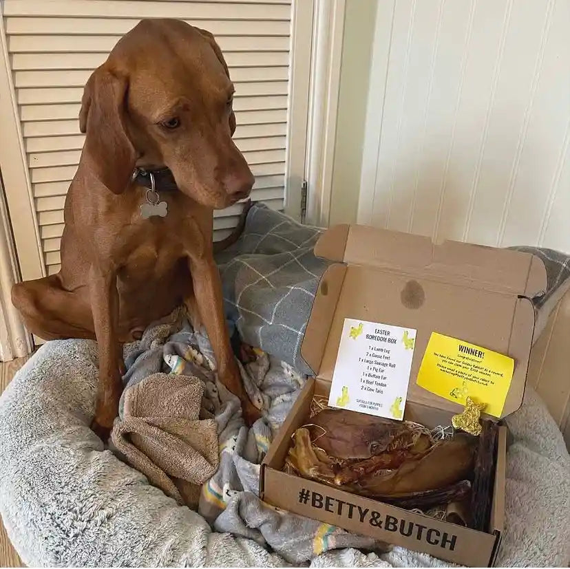 Build-A-Box: Build Your Own Dog Treat Box for Large Breed Dogs - BETTY & BUTCH®
