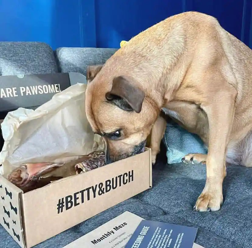 Build-A-Box: Build Your Own Dog Treat Box for Medium Sized Dogs - BETTY & BUTCH®