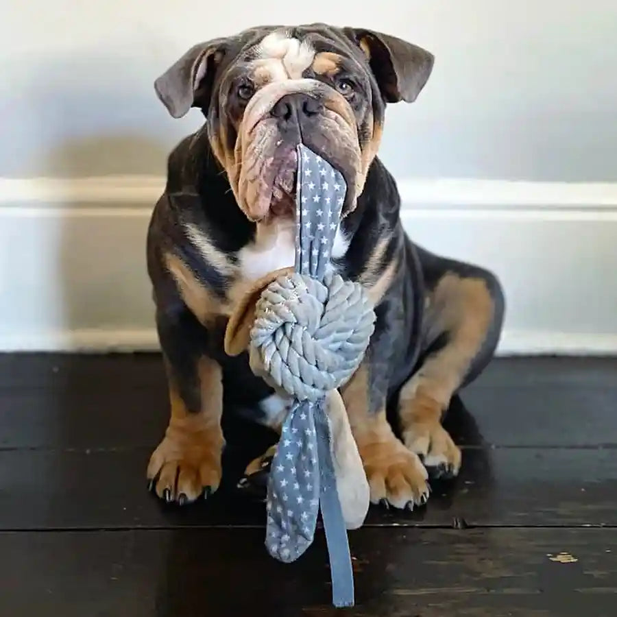 Dog play on sale rope