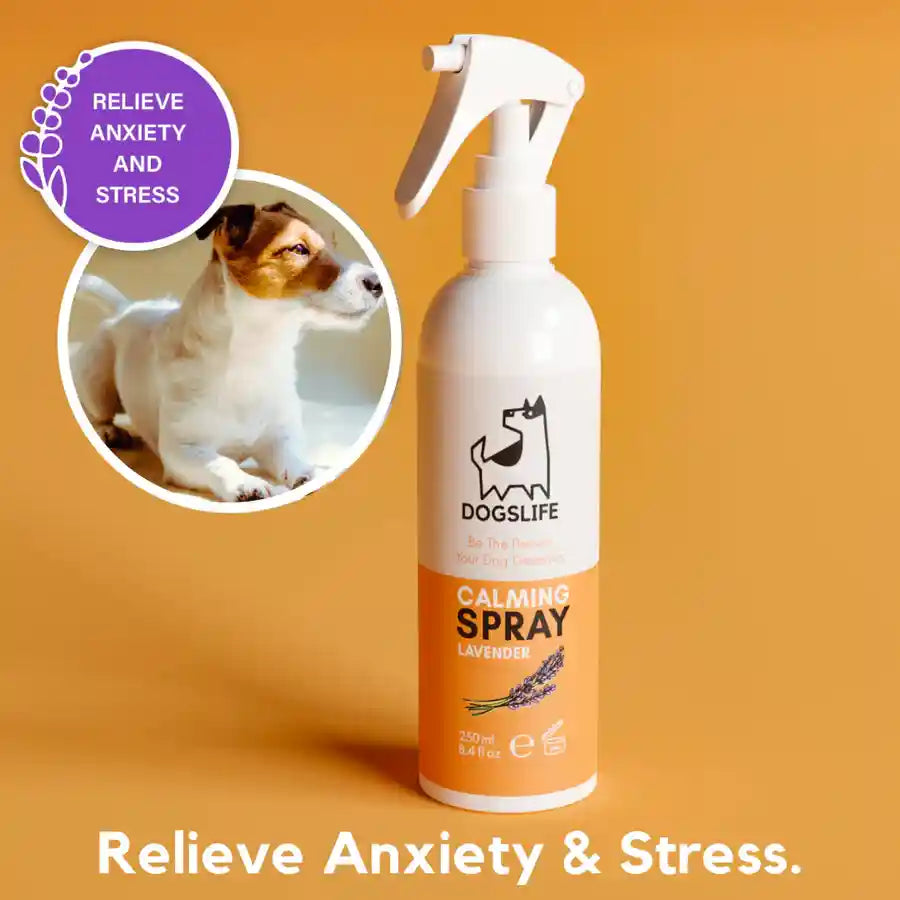 Dogslife Lavender Scented Dog Calming Spray - Relieves Stress & Anxiety - BETTY & BUTCH®