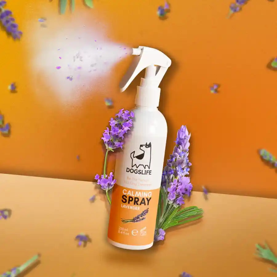 Lavender spray for cats sale
