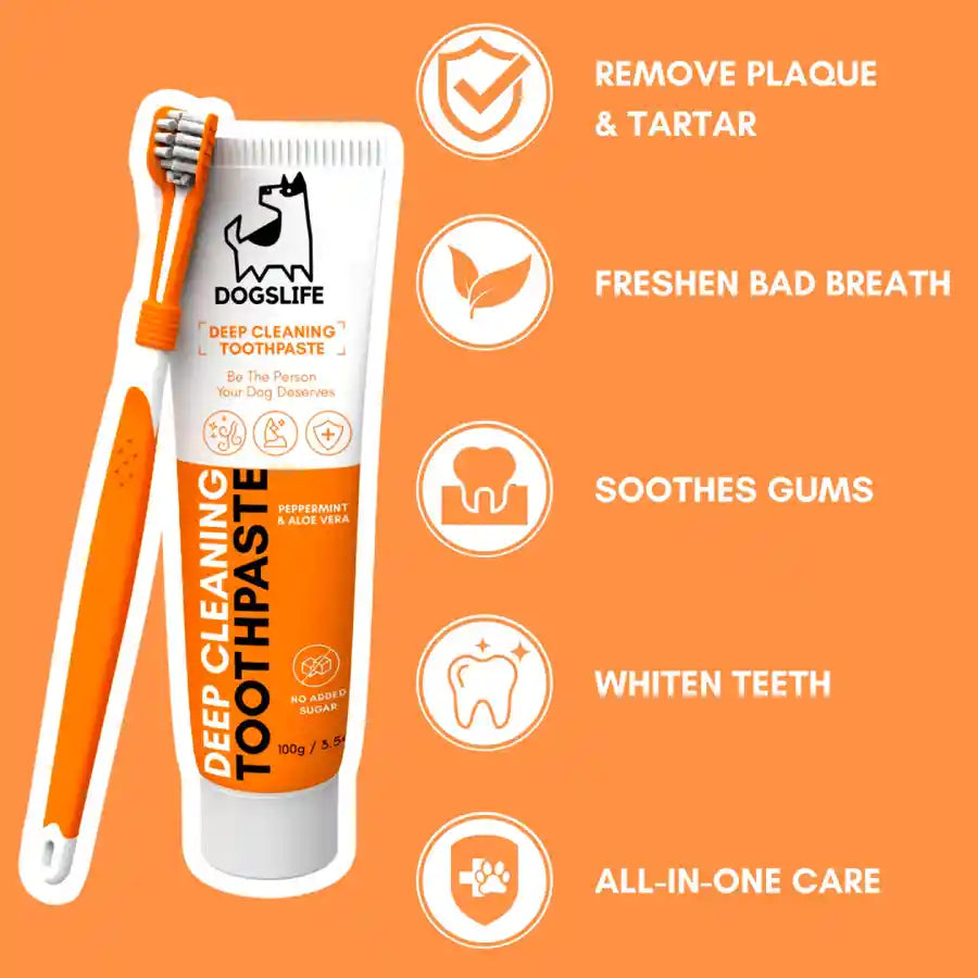 Dogslife Dental Care Kit with Triple Head Toothbrush and Toothpaste - BETTY & BUTCH®