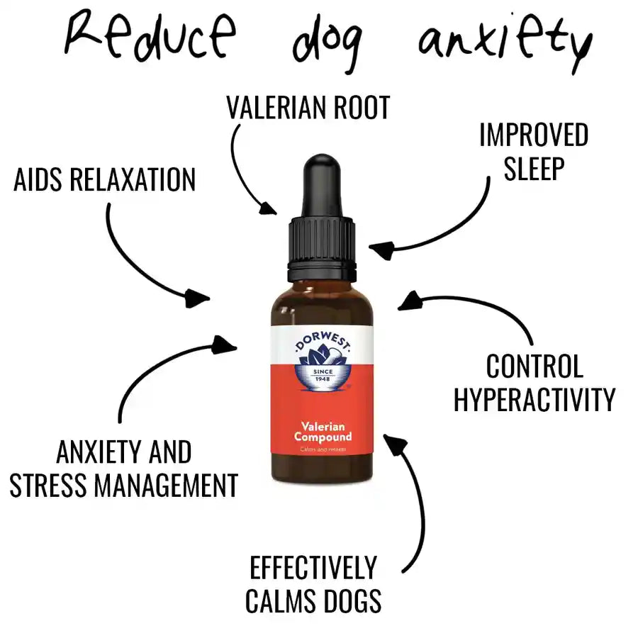 Dorwest Valerian Compound Dog Supplement for Stress and Anxiety - BETTY & BUTCH®