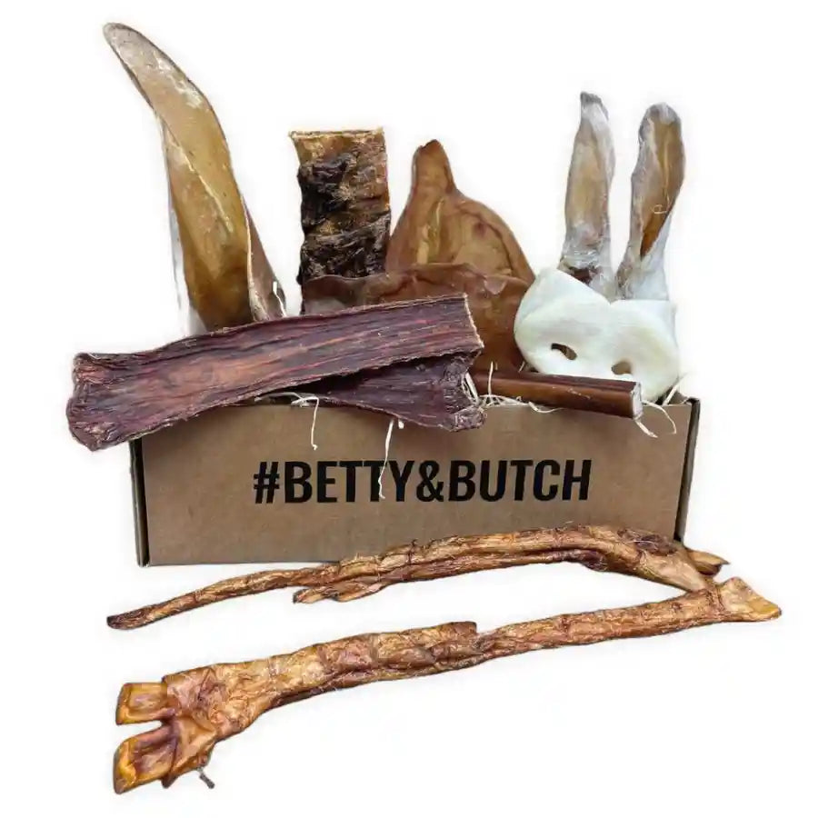 Big Puppy's First Chew Box Treats - Tasty Meat for Large Breed Puppies - BETTY & BUTCH®