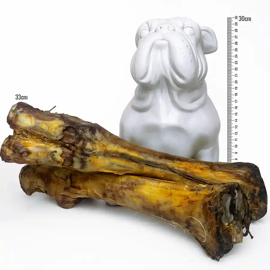 Premium Veal Bone Dog Chew Tasty Dog Treats for Big Adult Dogs - BETTY & BUTCH®