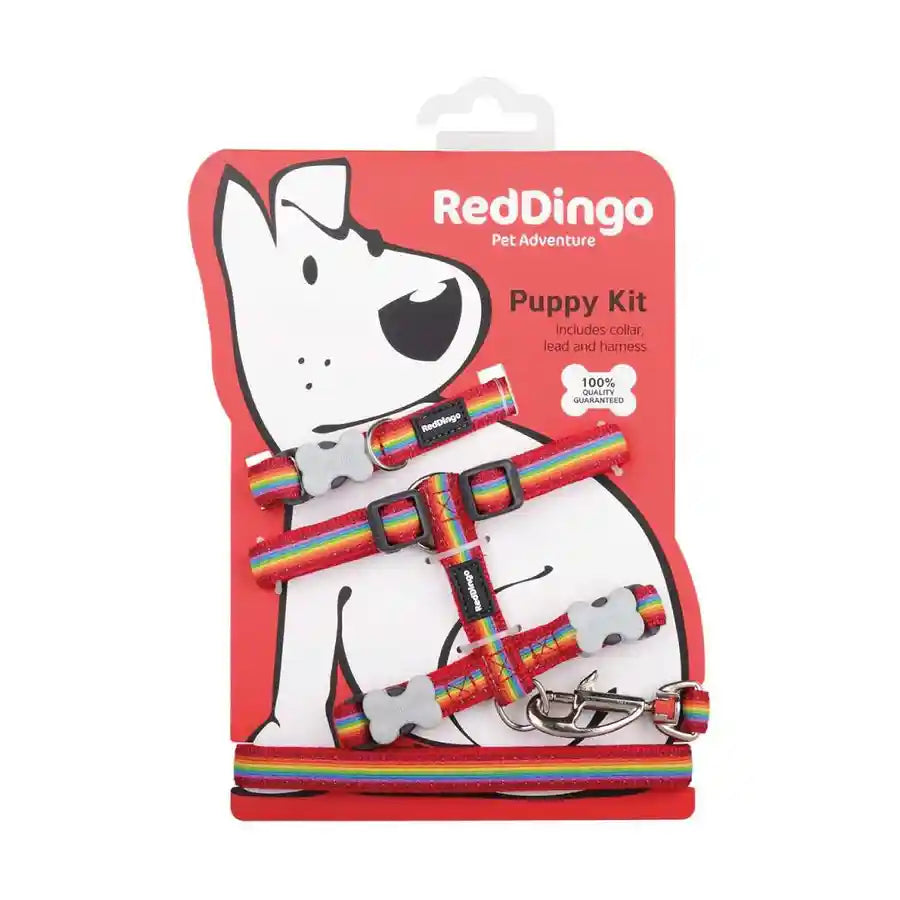 Red Dingo Rainbow Striped Print Collar, Lead and Harness Puppy Pack - BETTY & BUTCH®