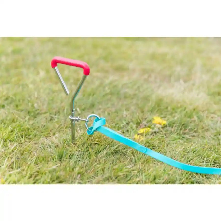 Trixie Tie Out Stake Dog Lead Anchor - Spiral Arrowhead Design - BETTY & BUTCH®