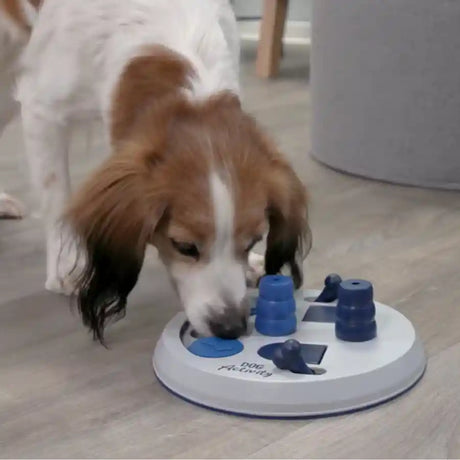 Dog Activity Flip Board Strategy Game - Interactive Dog Puzzle Game - BETTY & BUTCH®