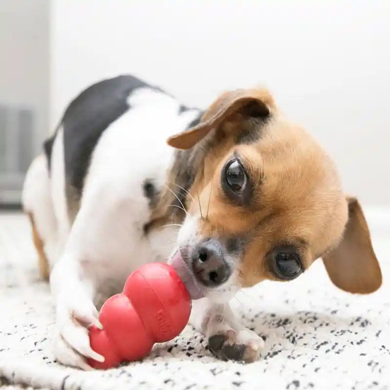 KONG Classic Brain Training Dog Enrichment Toy - Stuff with Treats - BETTY & BUTCH®