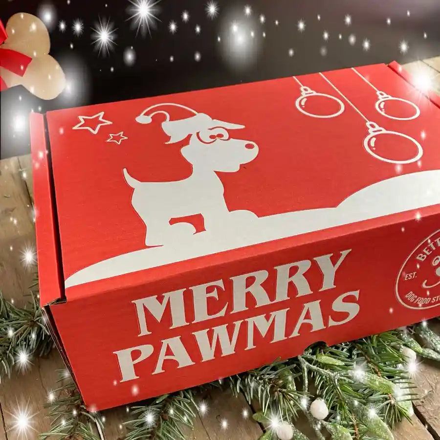 RUDOLPH'S PERSONALISED TREAT BOX - BETTY & BUTCH®